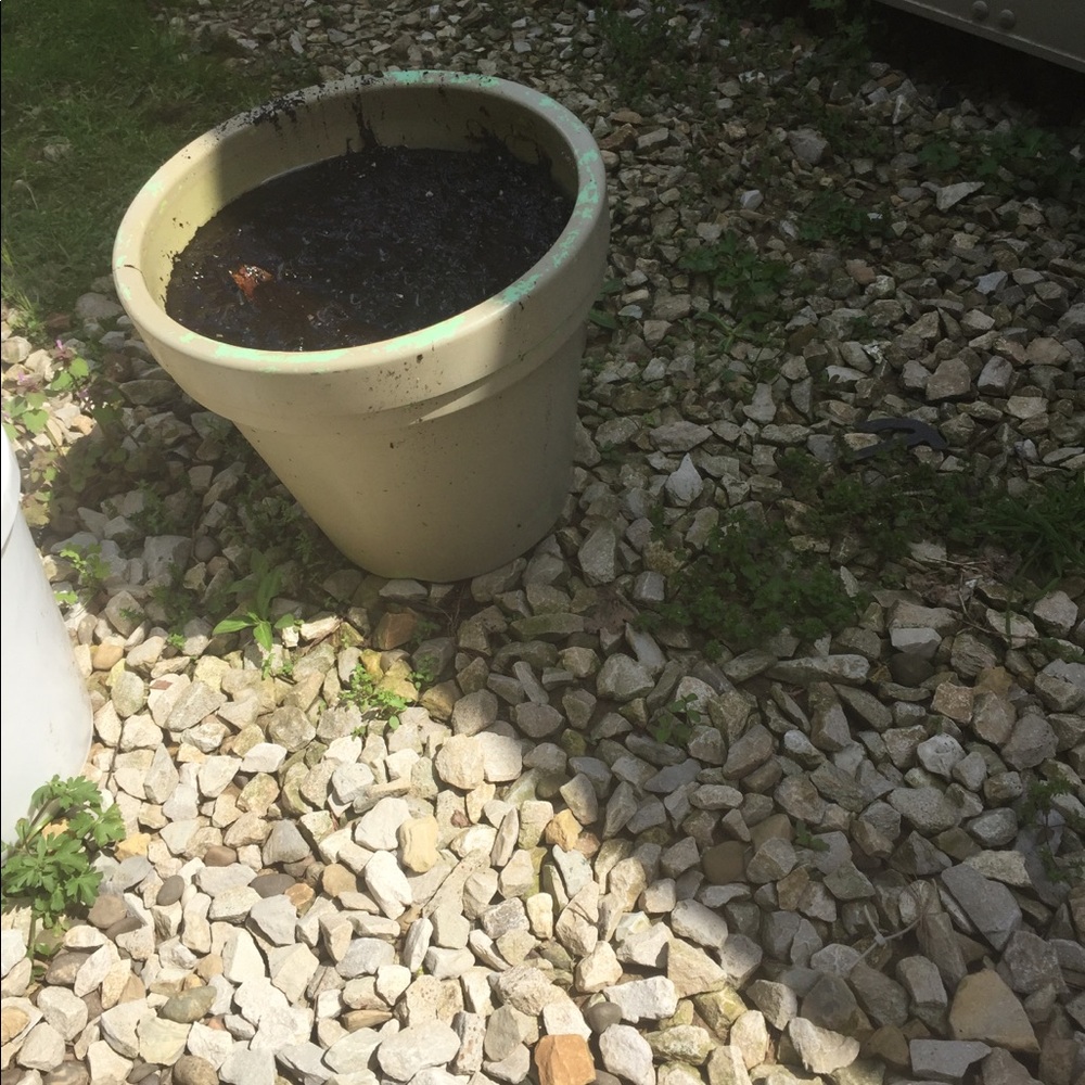 Meet your Posher, Mya